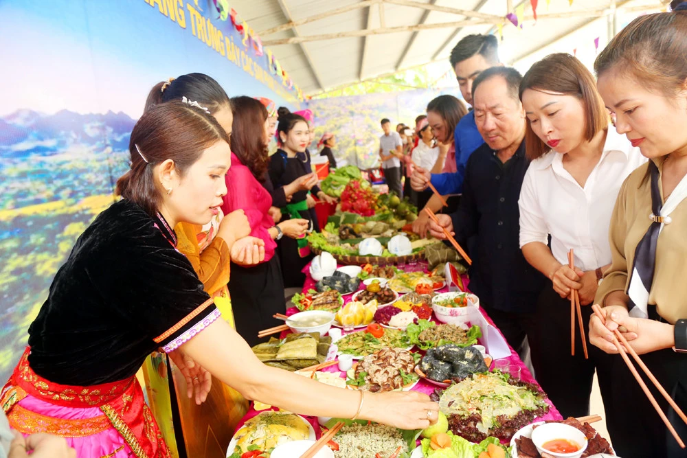 Các đồng chí lãnh đạo dự Ngày hội Đại đoàn kết toàn dân tộc năm 2022 ảnh 9