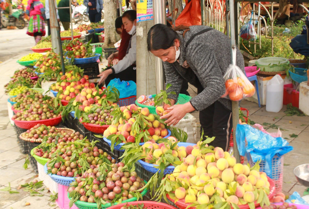 Đào và mận tam hoa Bắc Hà được bày bán tại khu vực trung tâm huyện.