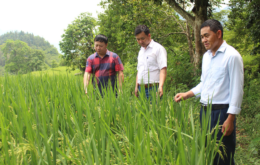 Hiệu quả từ phong trào thi đua dân vận khéo ở Mường Khương ảnh 1