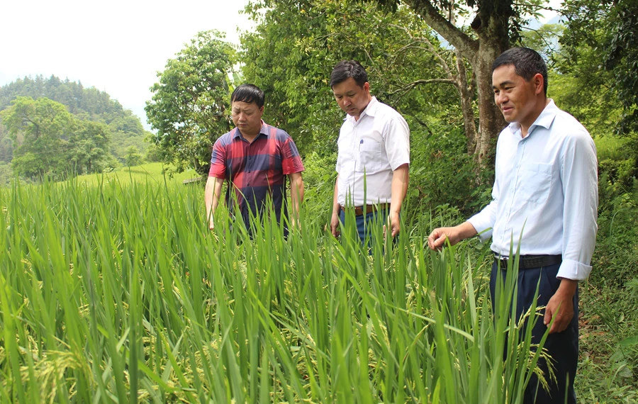 Hiệu quả từ phong trào thi đua dân vận khéo ở Mường Khương ảnh 1