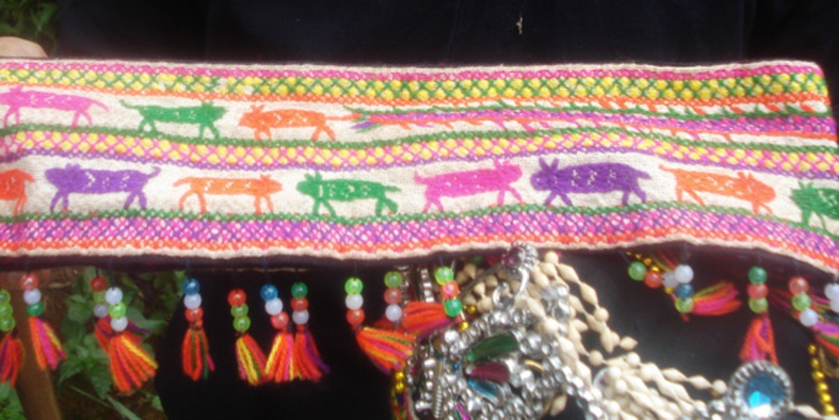 Hình tượng con hổ trong tín ngưỡng của người Dao ở Lào Cai ảnh 1