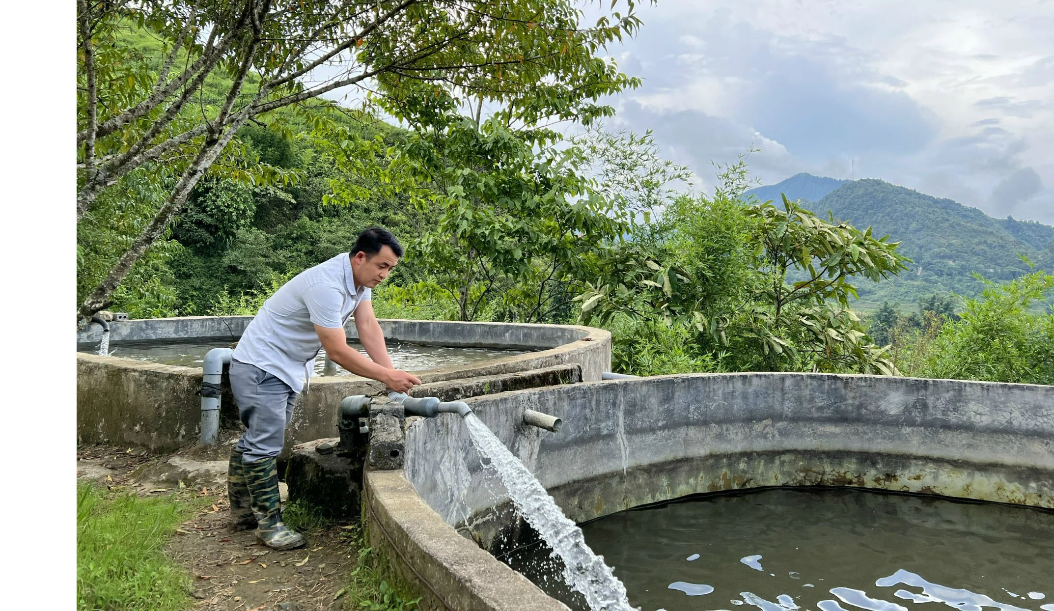 Đam mê cá “công chúa” ảnh 1