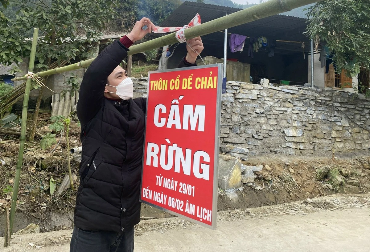 Người Phù Lá thôn Cồ Dề Chải, xã Nậm Mòn (Bắc Hà) treo biển thông báo cấm rừng để mọi người biết và tuân thủ tục lệ.