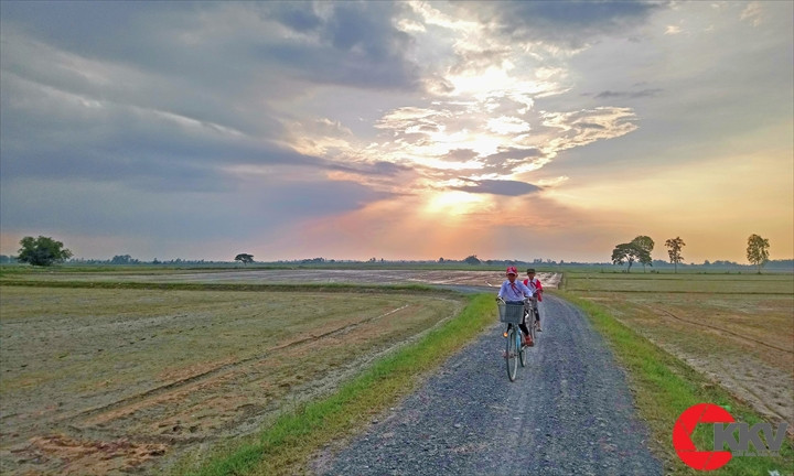 Đường về nhà. Ảnh minh họa của Võ Hữu Nghị. Đường về nhà. Ảnh minh họa của Võ Hữu Nghị.