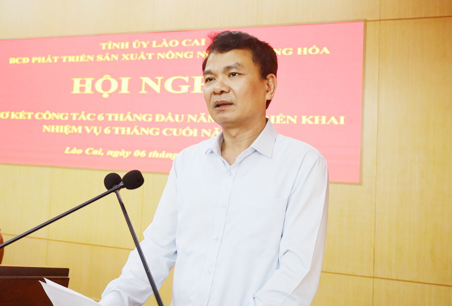 Tăng cường tuyên truyền, quyết liệt trong chỉ đạo, tổ chức thực hiện Nghị quyết 10-NQ/TU ảnh 2