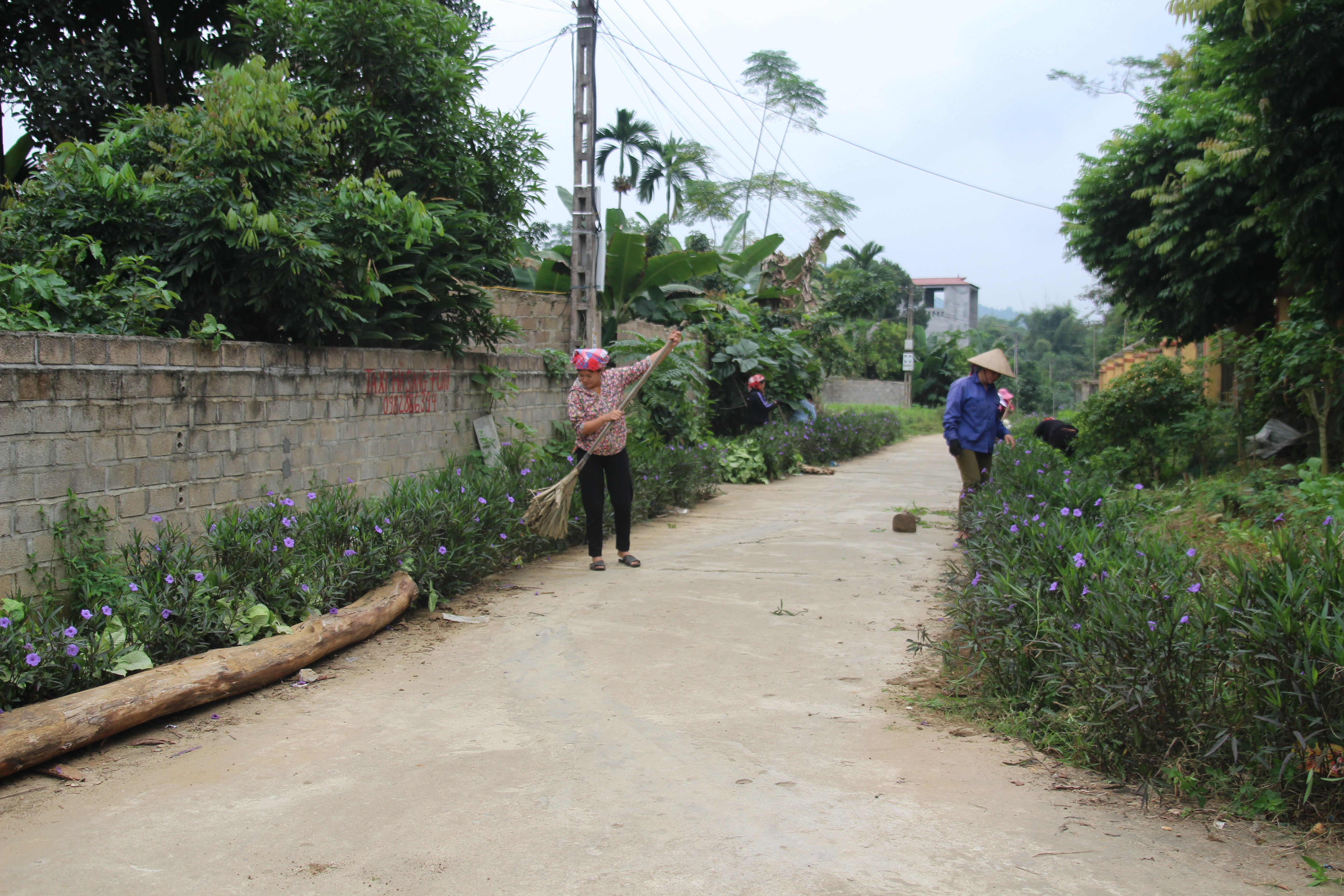 Xây dựng nông thôn mới đảm bảo thực chất ảnh 1
