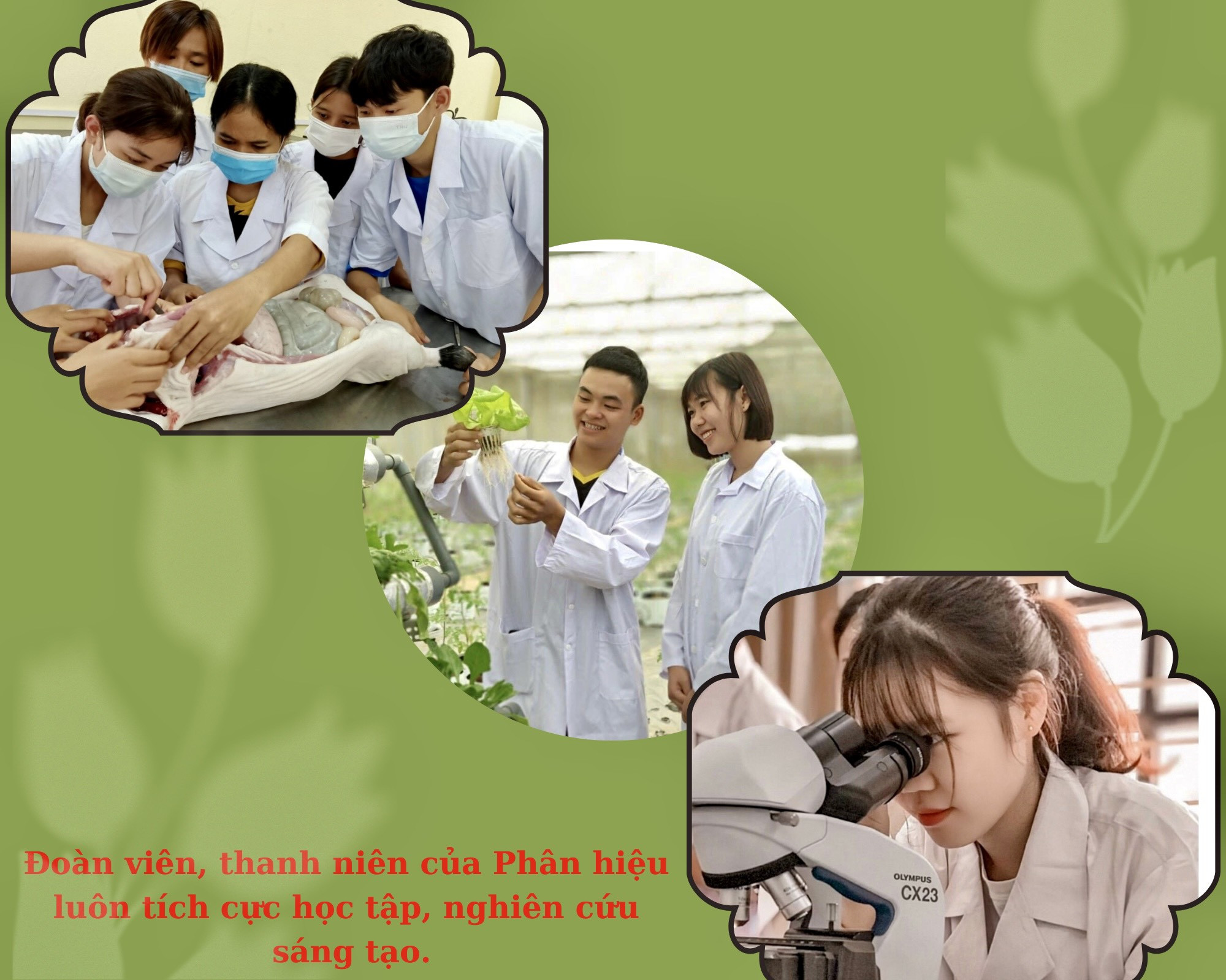 “Cháy” hết mình với phong trào tuổi trẻ ảnh 2 “Cháy” hết mình với phong trào tuổi trẻ ảnh 2