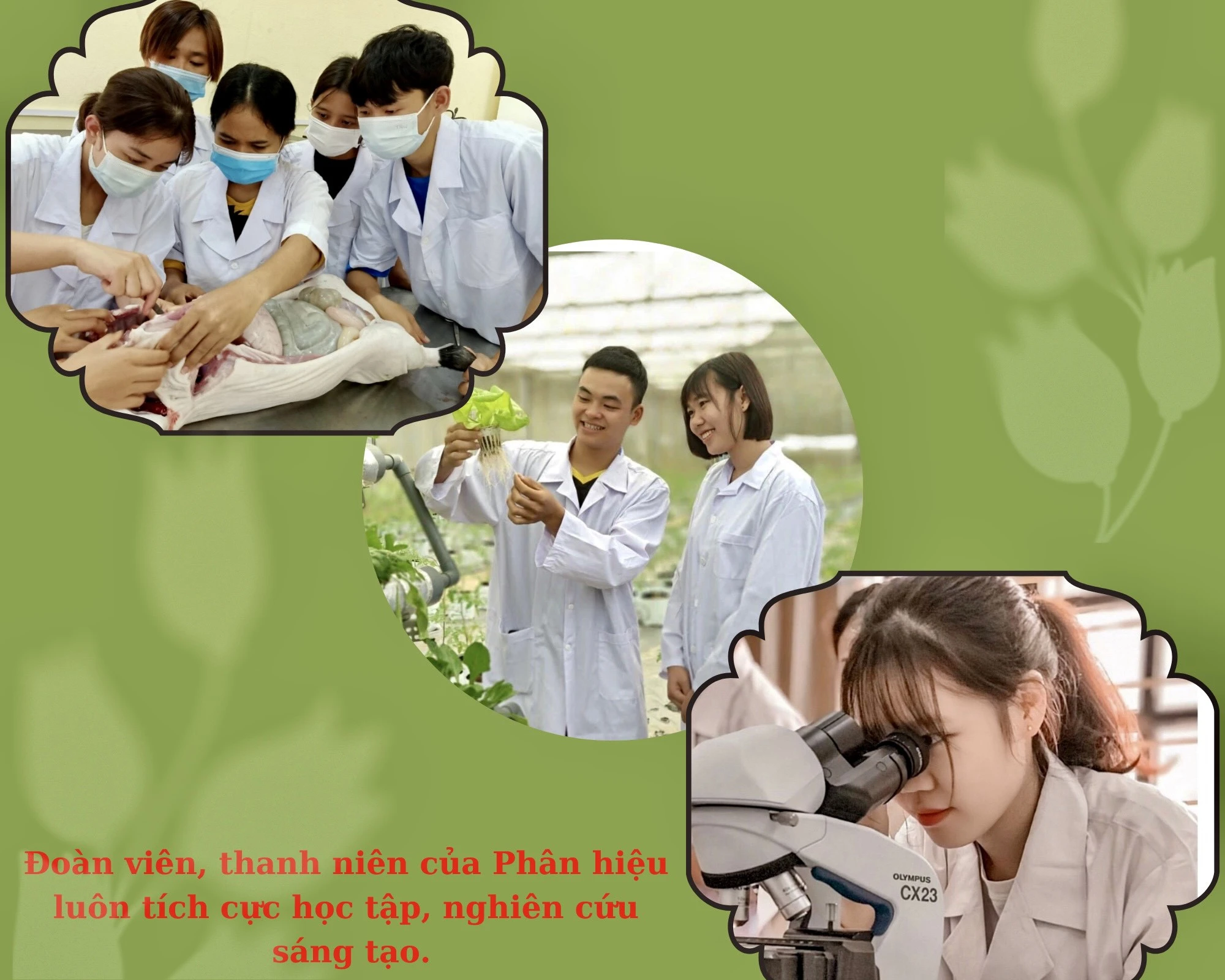 “Cháy” hết mình với phong trào tuổi trẻ ảnh 2