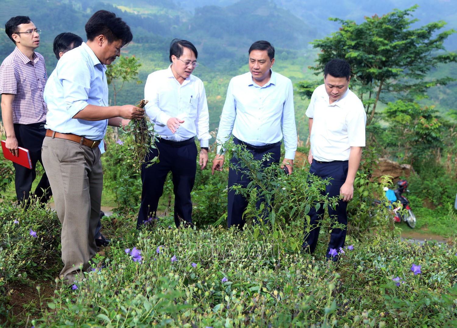 Đoàn công tác thăm mô hình trồng cây dược liệu tại thôn Lử Thẩn.