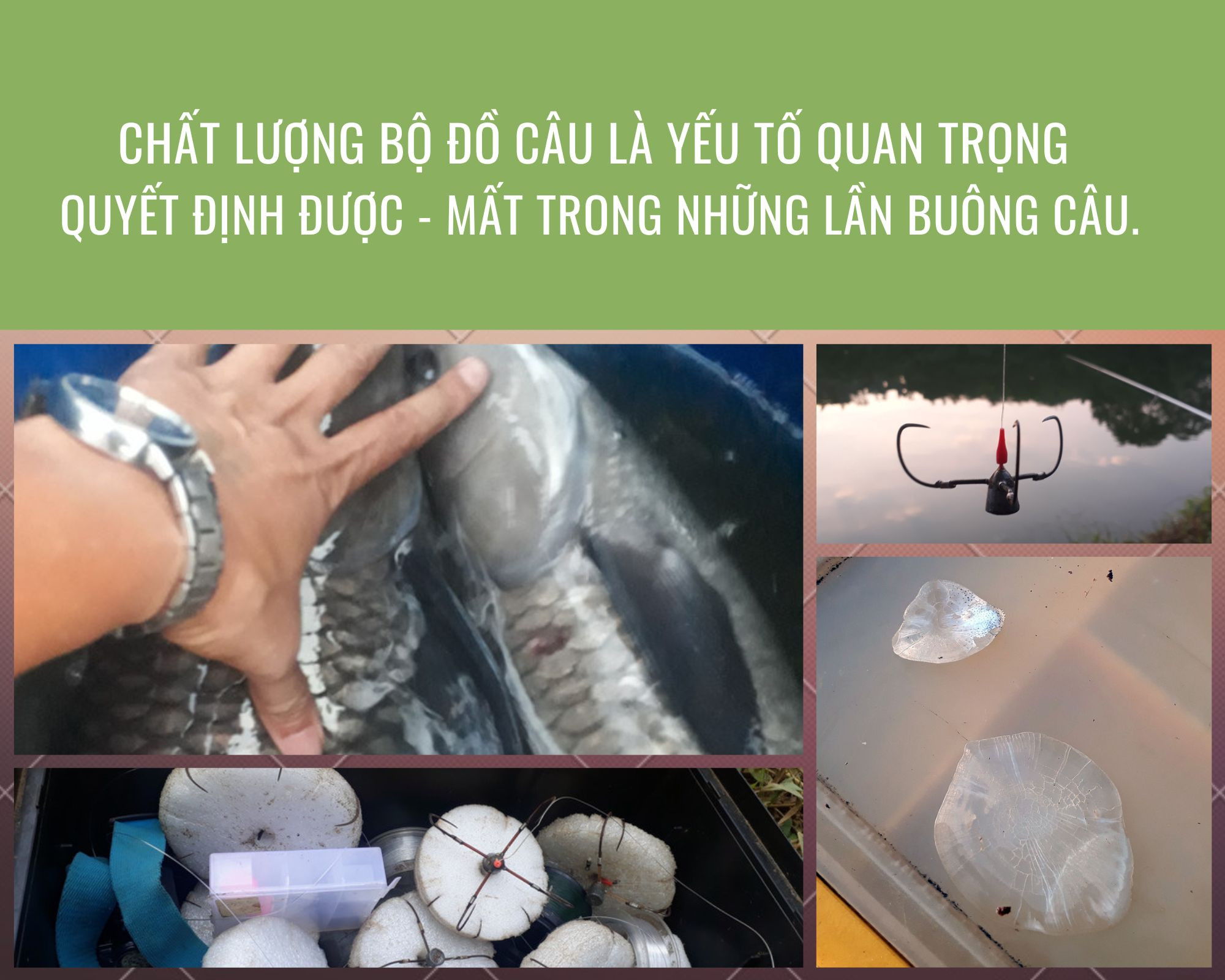 Xuyên đêm săn “tàu ngầm” ảnh 3 Xuyên đêm săn “tàu ngầm” ảnh 3