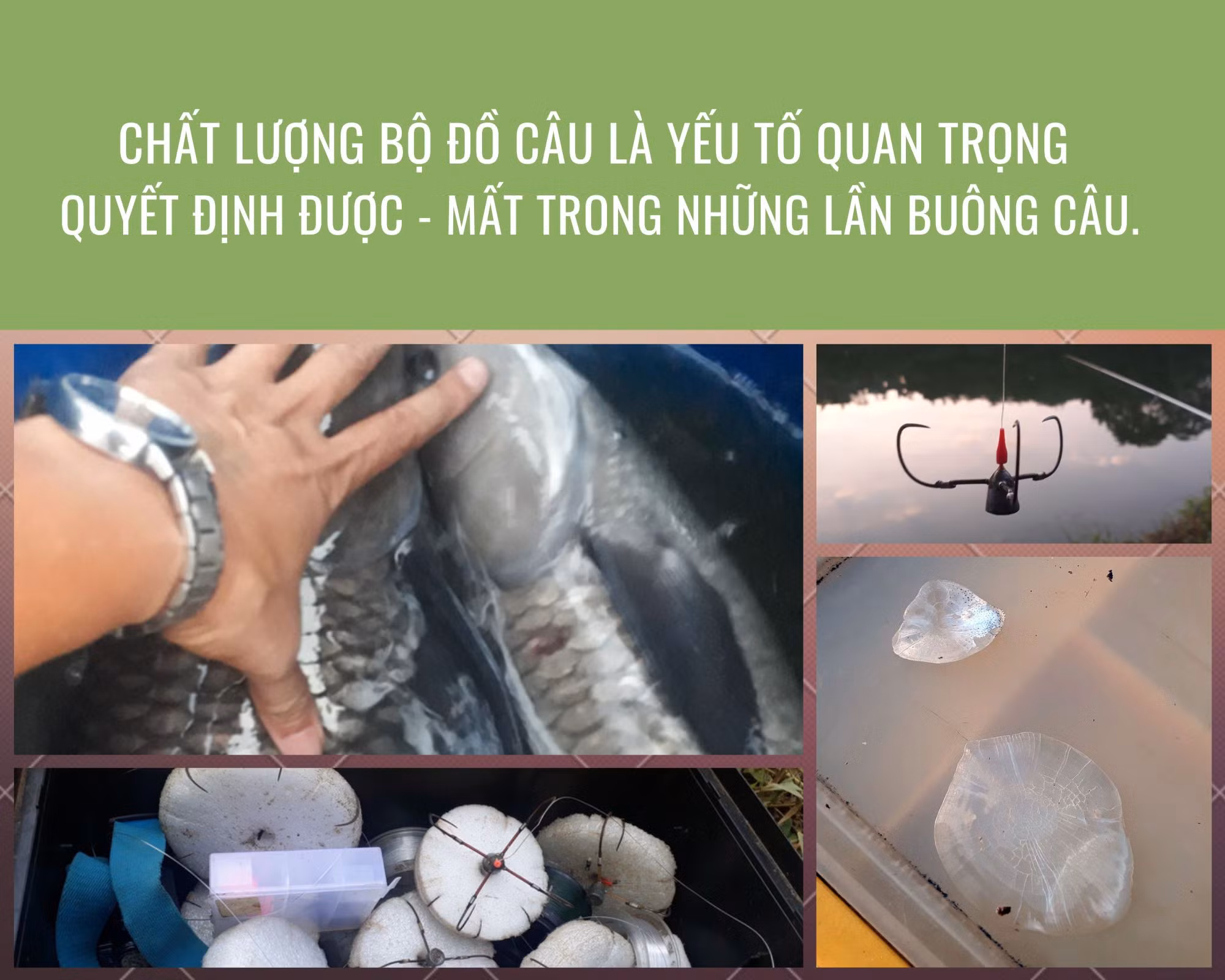 Xuyên đêm săn “tàu ngầm” ảnh 3