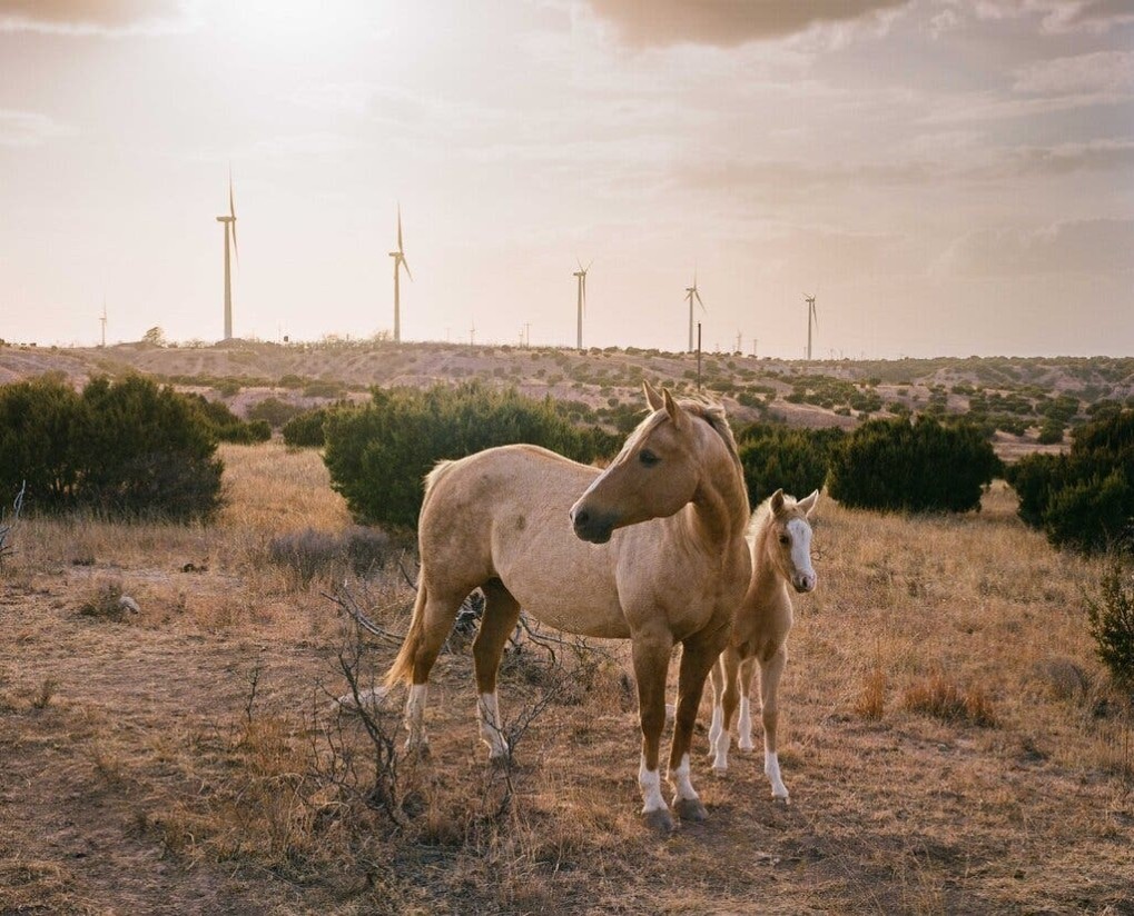 Thợ đào Bitcoin tìm cách giảm tiếng xấu ảnh 1