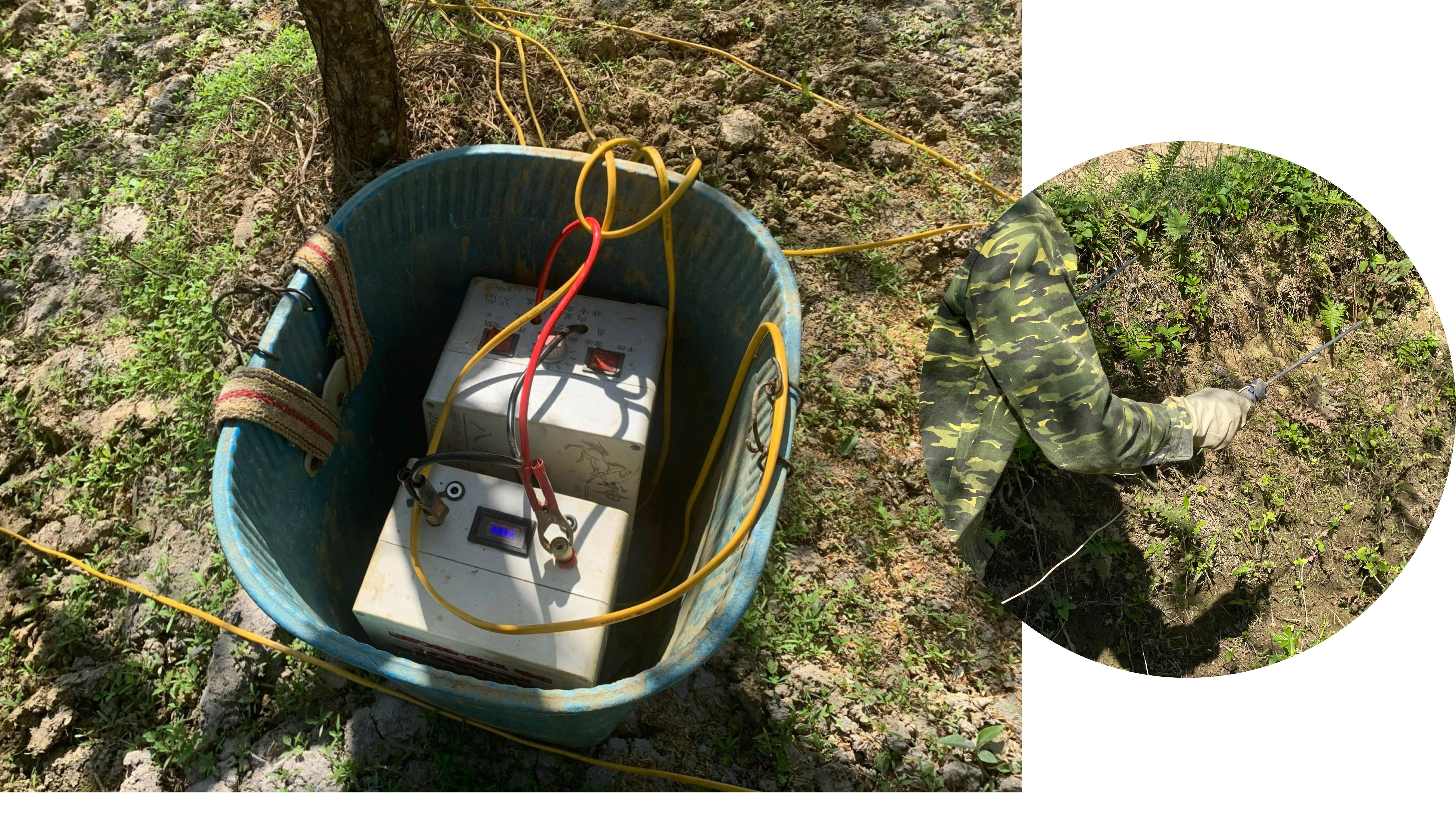 Bắc Hà: Bất thường việc người dân đổ xô đi bắt giun đất bằng kích điện ảnh 1 Bắc Hà: Bất thường việc người dân đổ xô đi bắt giun đất bằng kích điện ảnh 1