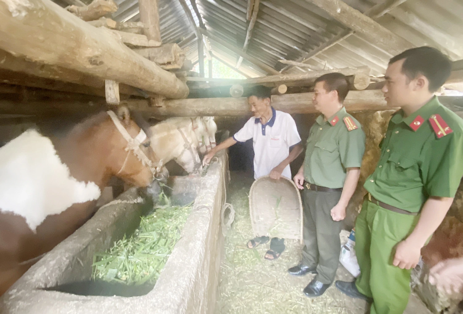 Tư vấn cho người dân phát triển kinh tế. Tư vấn cho người dân phát triển kinh tế.