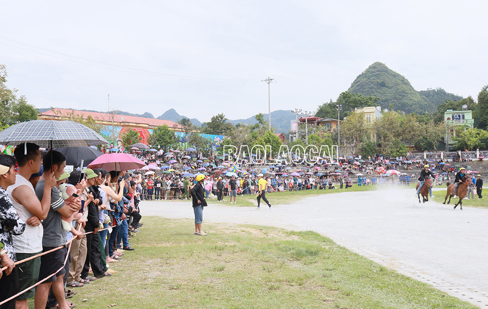 Hấp dẫn vòng loại Giải đua Vó ngựa Cao nguyên trắng lần thứ 15 ảnh 9