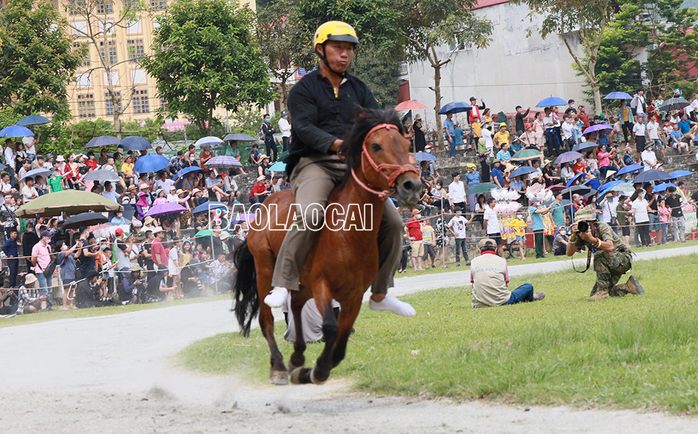 Hấp dẫn vòng loại Giải đua Vó ngựa Cao nguyên trắng lần thứ 15 ảnh 8