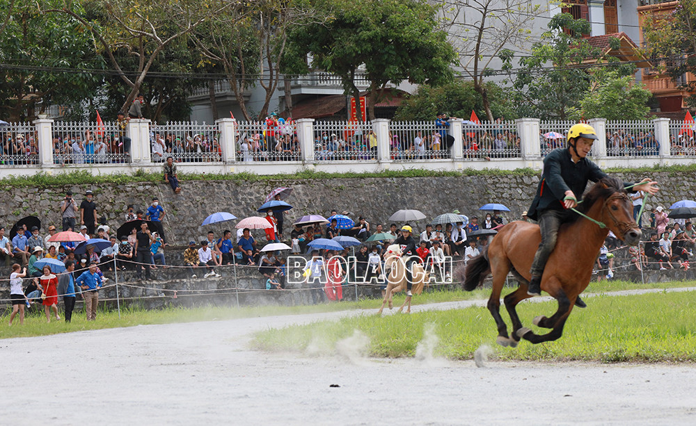 Hấp dẫn vòng loại Giải đua Vó ngựa Cao nguyên trắng lần thứ 15 ảnh 7