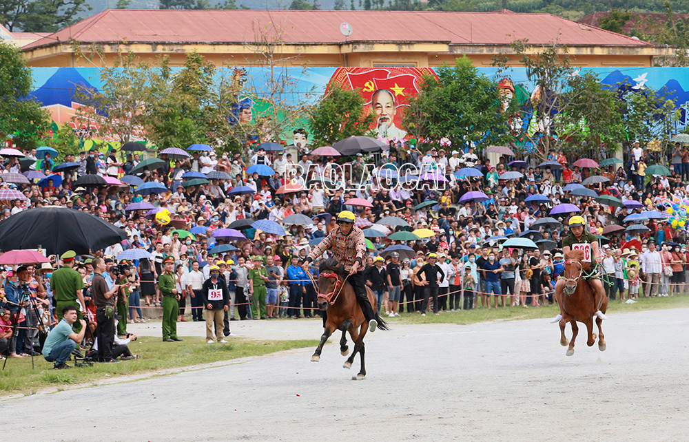 Các nài ngựa xuất phát thi đấu.