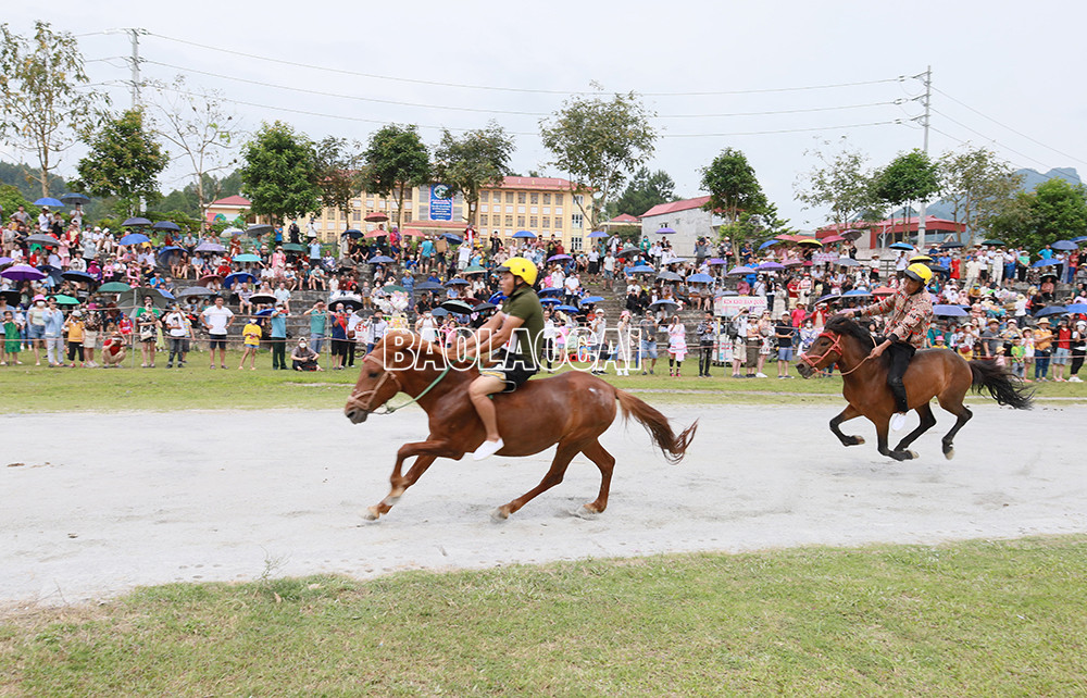 Những pha so kè quyết liệt. Ngựa phi "như bay" trên đường đua.