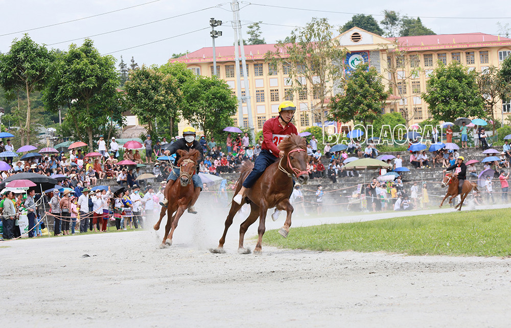 Cuộc đua đầy kịch tính, hấp dẫn ngay từ những vòng đua đầu tiên.