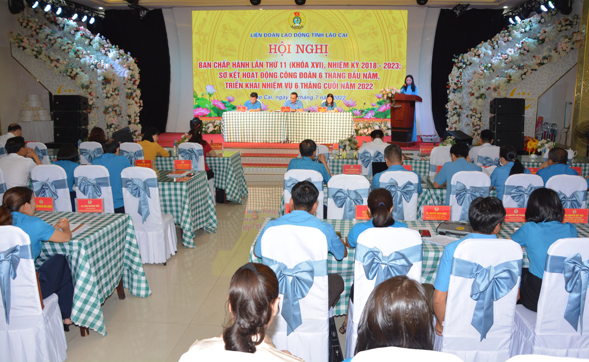 Tiếp tục đẩy mạnh phát triển đoàn viên, thành lập công đoàn cơ sở ảnh 1