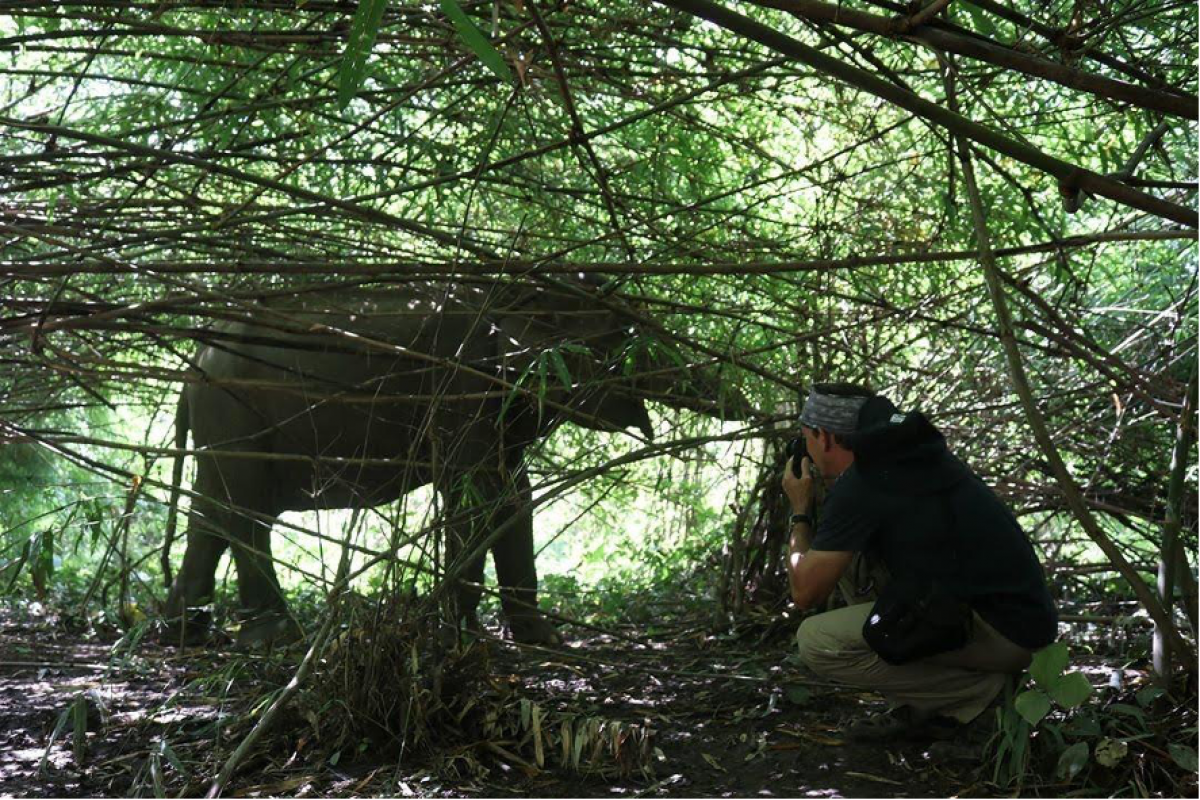 Điểm đến Việt Nam cho du khách yêu động vật ảnh 1 Điểm đến Việt Nam cho du khách yêu động vật ảnh 1