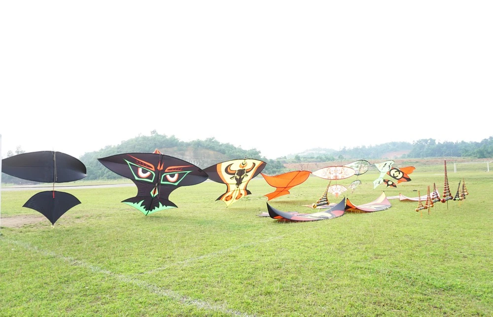 Vi vu với sáo diều ảnh 7