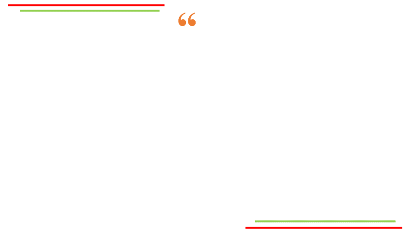 “Mẹ” Minh ảnh 4