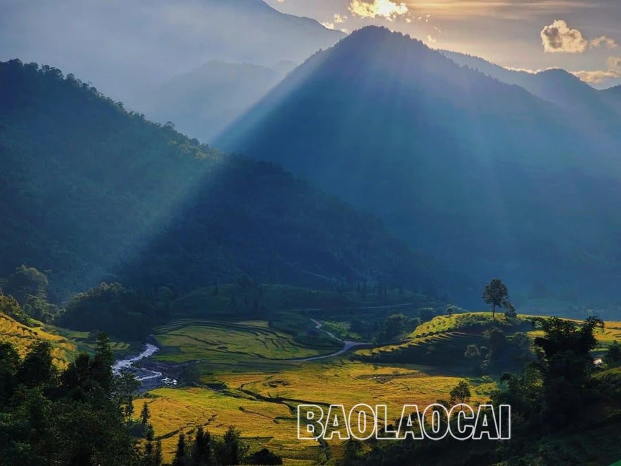 Chọn Y Tý, du khách thỏa lòng với phong cảnh hoang sơ ảnh 5