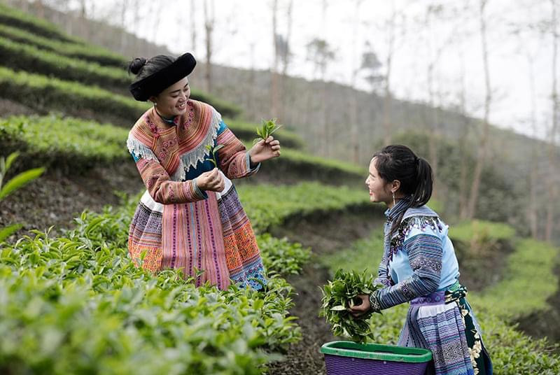 Phát động Cuộc thi ảnh đẹp trong xây dựng nông thôn mới, văn minh đô thị tỉnh Lào Cai năm 2022 ảnh 1