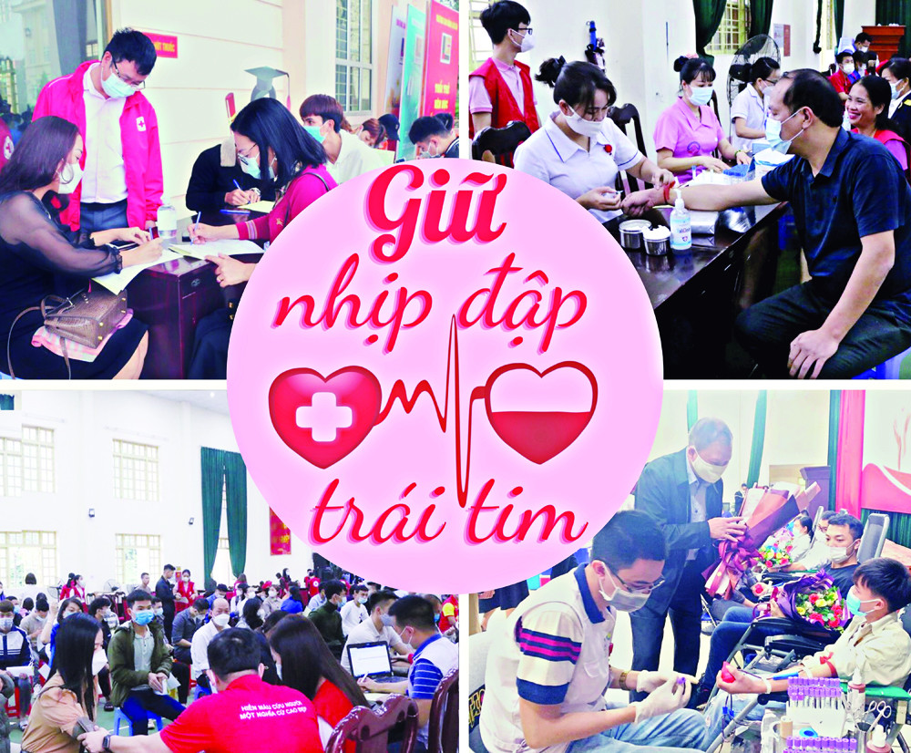 Hoạt động hiến máu tình nguyện thu hút sự tham gia của cán bộ, công chức, viên chức trong tỉnh. Hoạt động hiến máu tình nguyện thu hút sự tham gia của cán bộ, công chức, viên chức trong tỉnh.