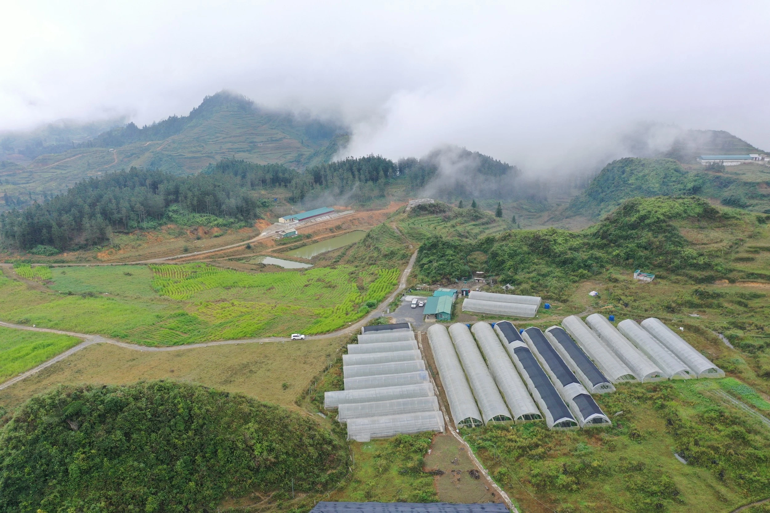 Công nghệ nhà màng được nhiều cơ sở sản xuất áp dụng.