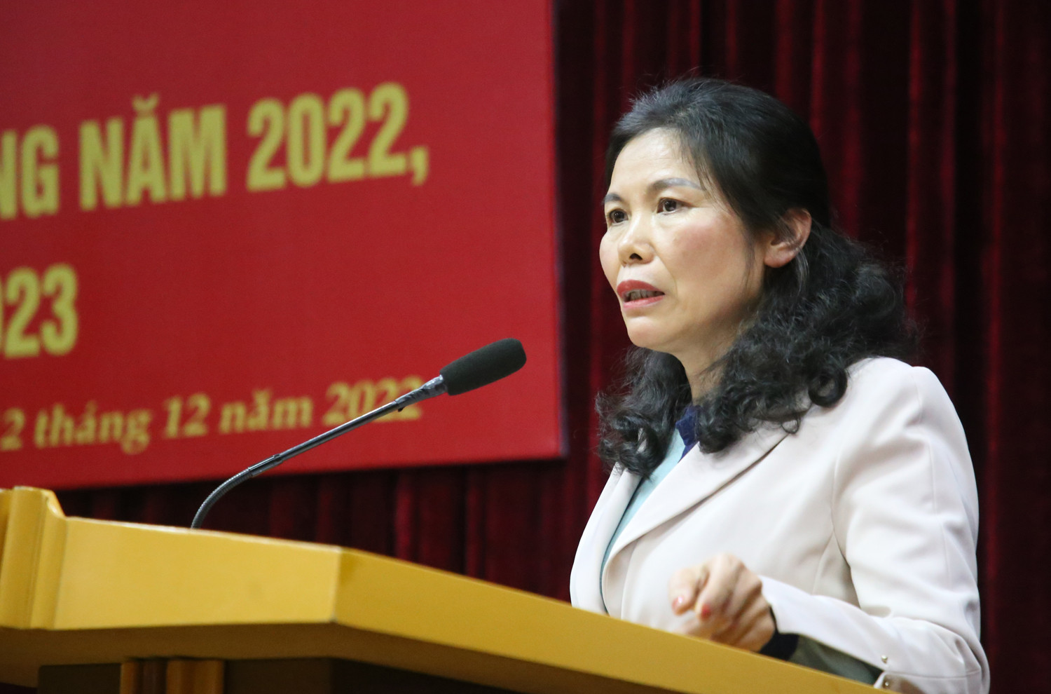 Khen thưởng 9 tập thể, 11 cá nhân có thành tích xuất sắc trong thực hiện Cuộc vận động “Người Việt Nam ưu tiên dùng hàng Việt Nam” năm 2022 ảnh 5