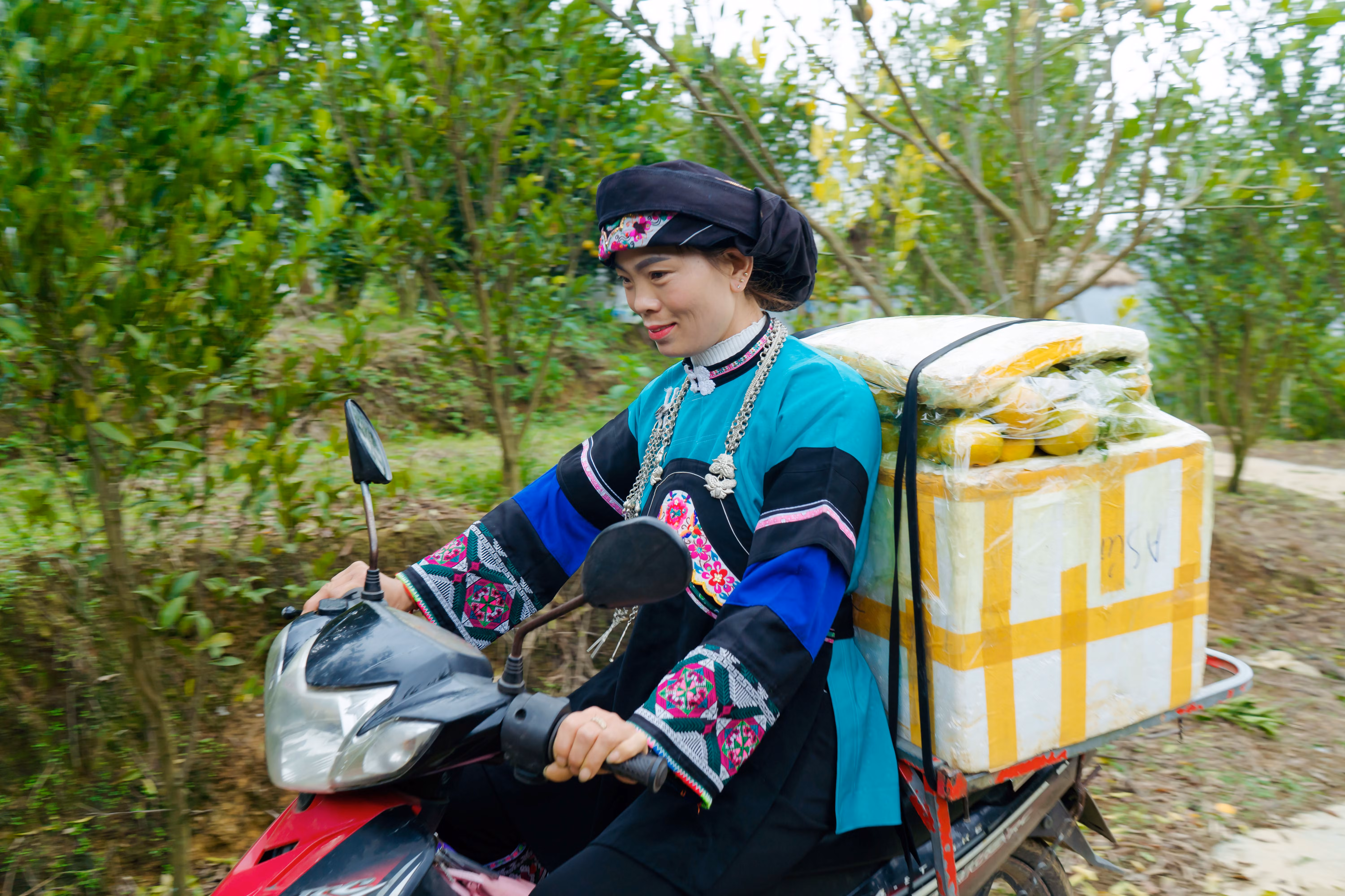 Sản phẩm quýt được bán ra thị trường trong và ngoài tỉnh. Sản phẩm quýt được bán ra thị trường trong và ngoài tỉnh.