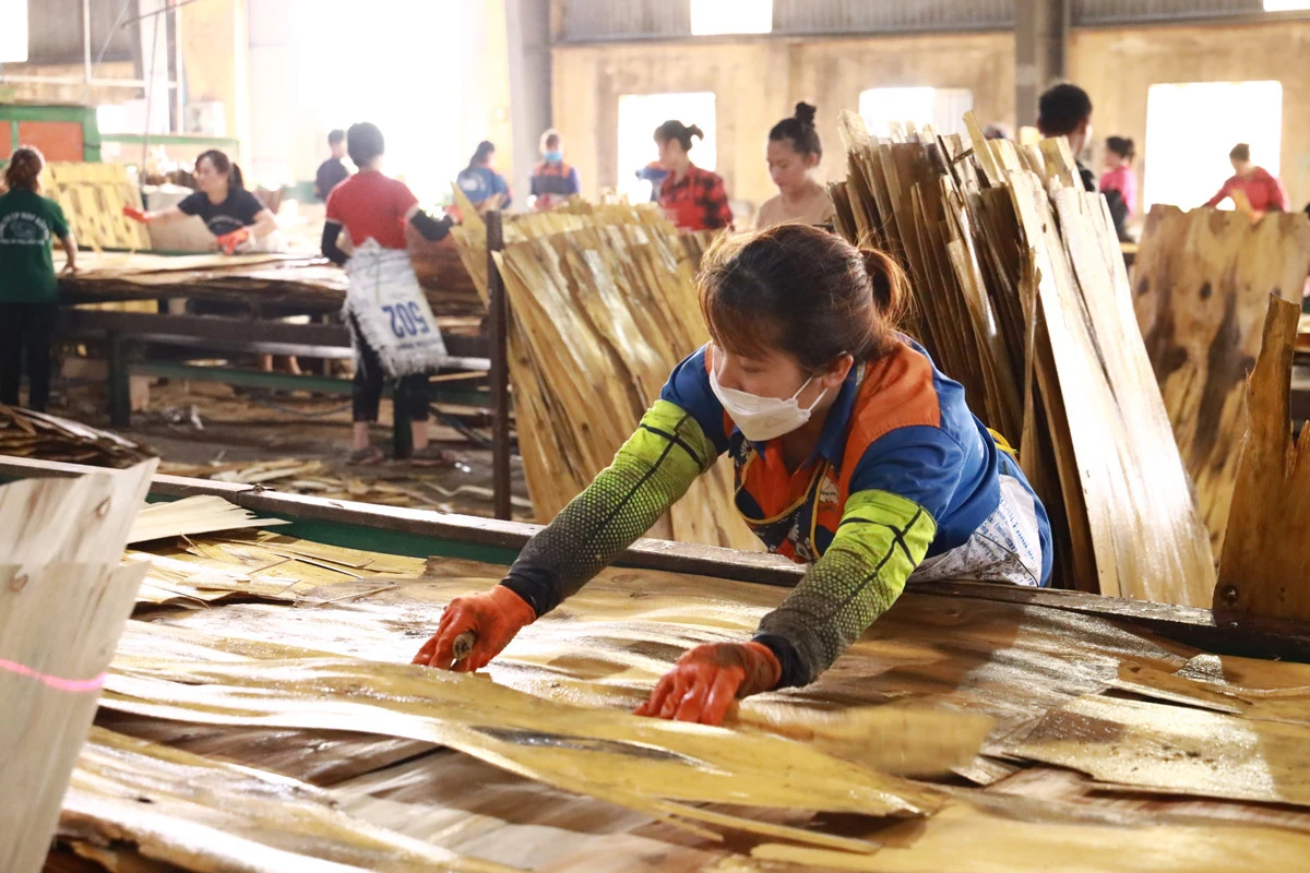 Chính phủ tiếp tục quan tâm, có thêm chính sách đãi ngộ cho đoàn viên, lao động ảnh 5