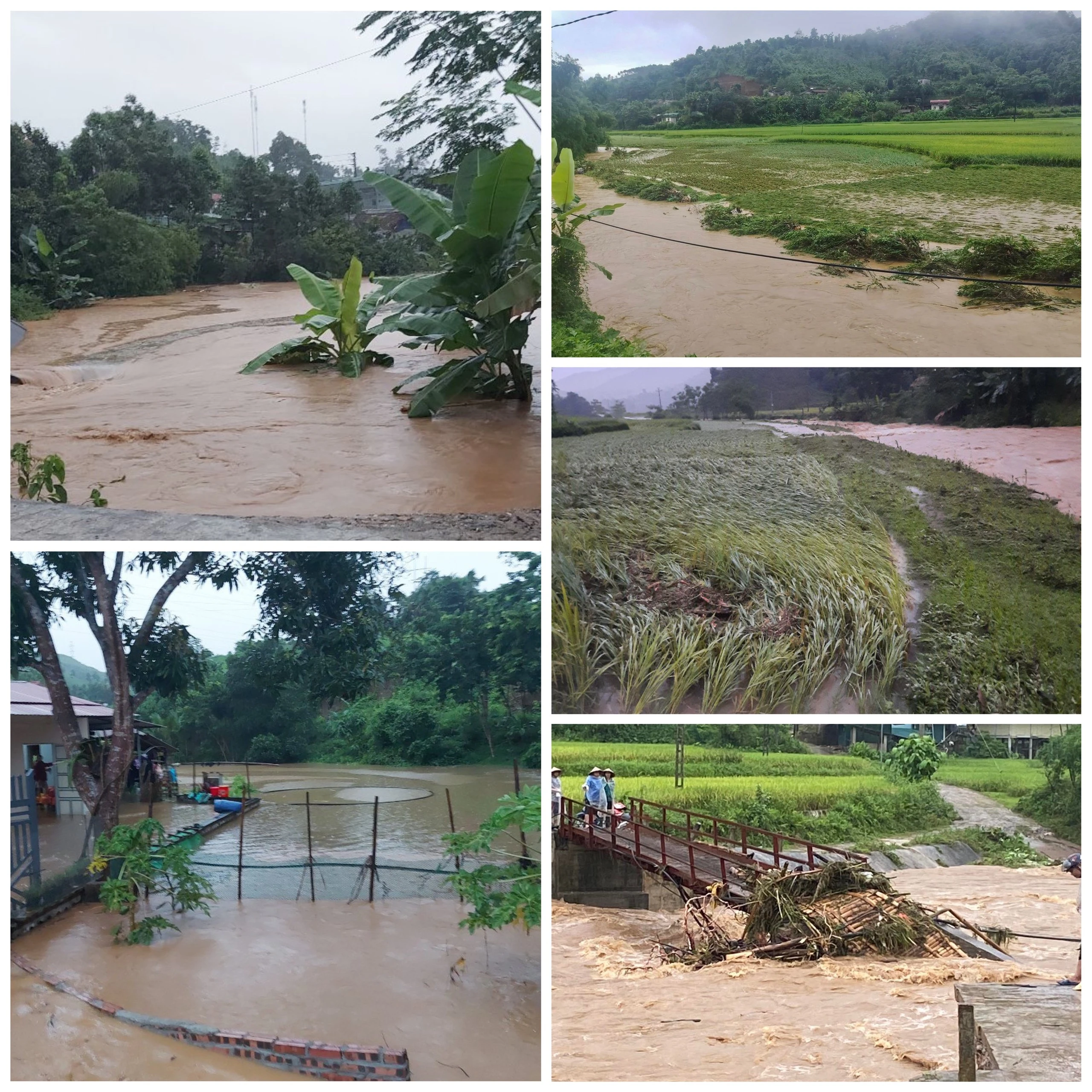 Mưa lũ gây thiệt hại tại nhiều địa phương trong tỉnh ảnh 7
