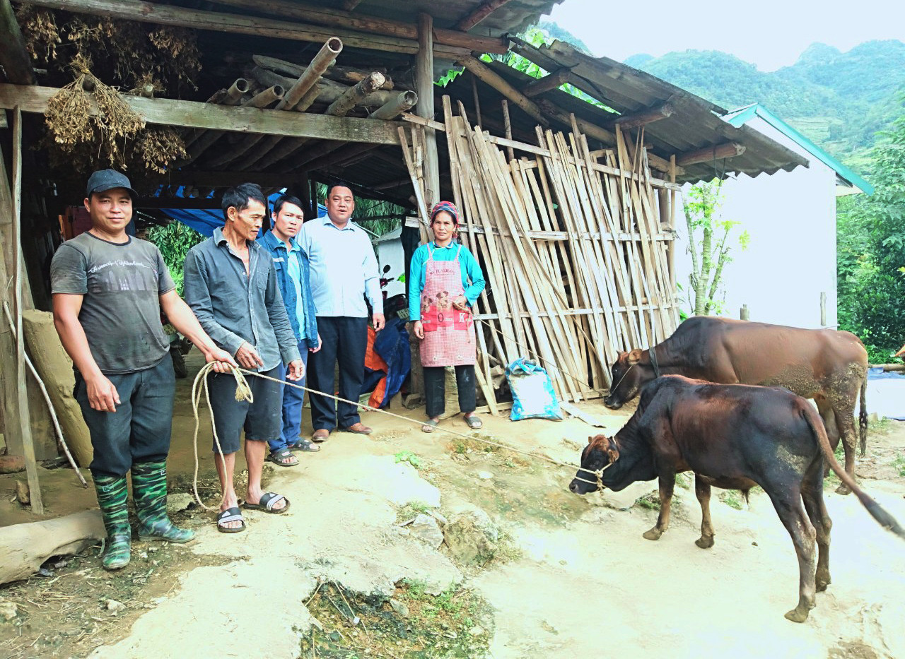 Si Ma Cai phát huy hiệu quả Nghị quyết 22 ảnh 2 Si Ma Cai phát huy hiệu quả Nghị quyết 22 ảnh 2