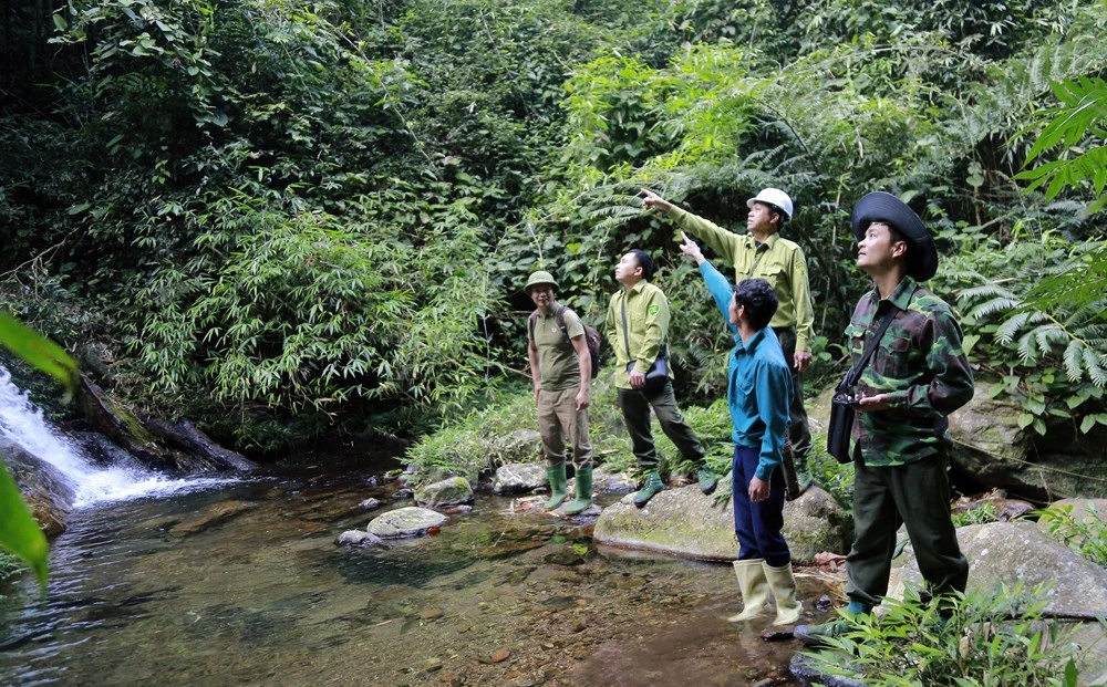 Lực lượng kiểm lâm tuần tra bảo vệ rừng.