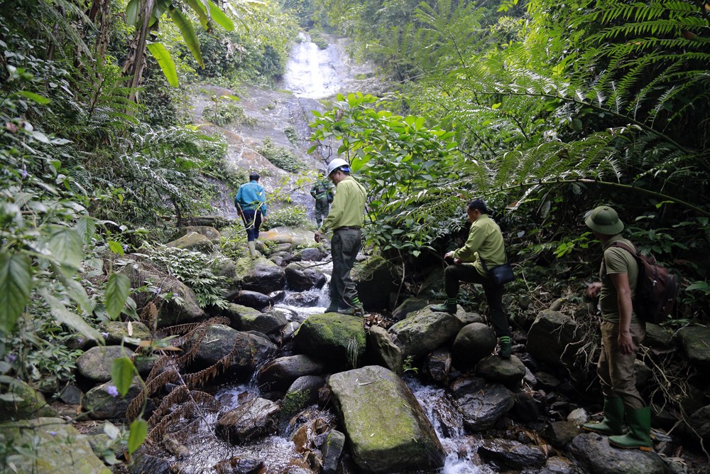 Đường lên đỉnh núi Con Voi.
