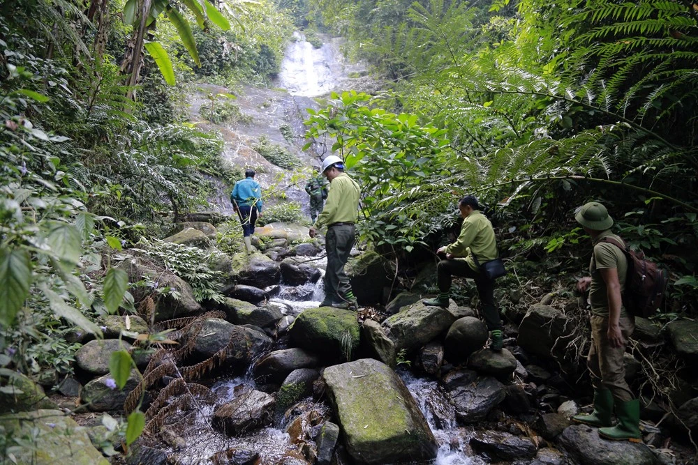 Đường lên đỉnh núi Con Voi.