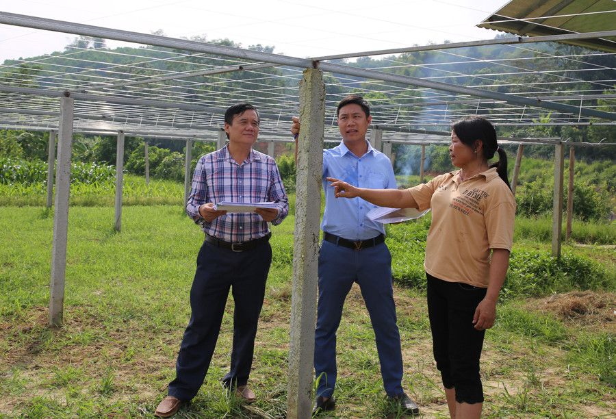 Người dân chuyển đổi đất sản xuất kém hiệu quả sang trồng rau được hỗ trợ kinh phí làm giàn.