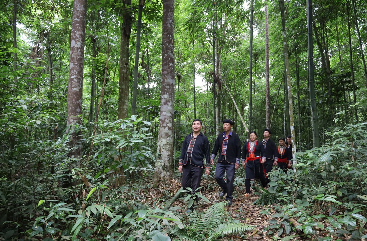 Huyền tích “rừng giếng ngọc” ảnh 1 Huyền tích “rừng giếng ngọc” ảnh 1