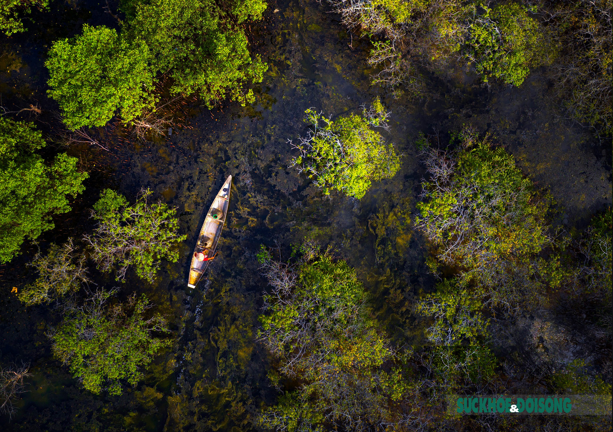 Mùa thu ở Rú Chá ảnh 3