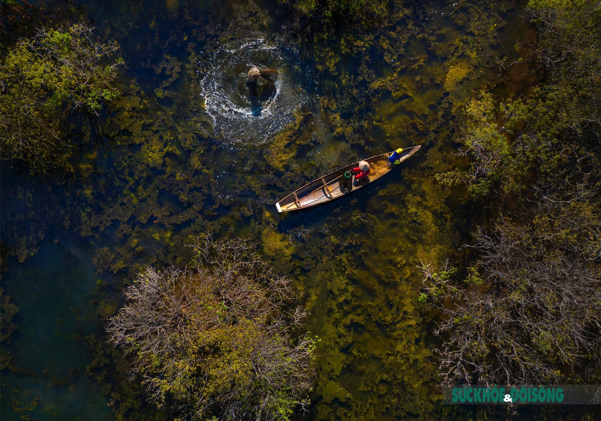 Mùa thu ở Rú Chá ảnh 1
