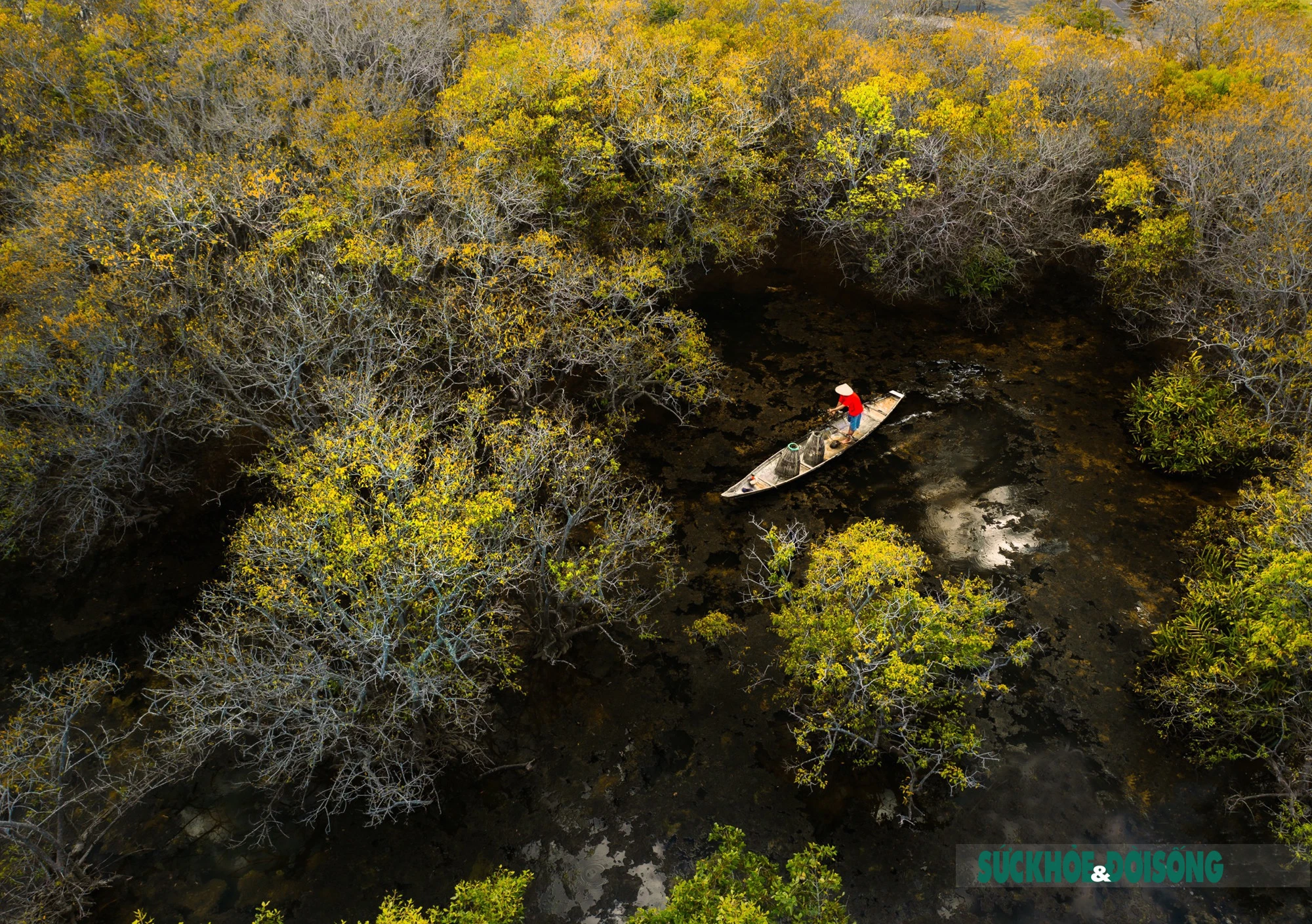 Mùa thu ở Rú Chá ảnh 6