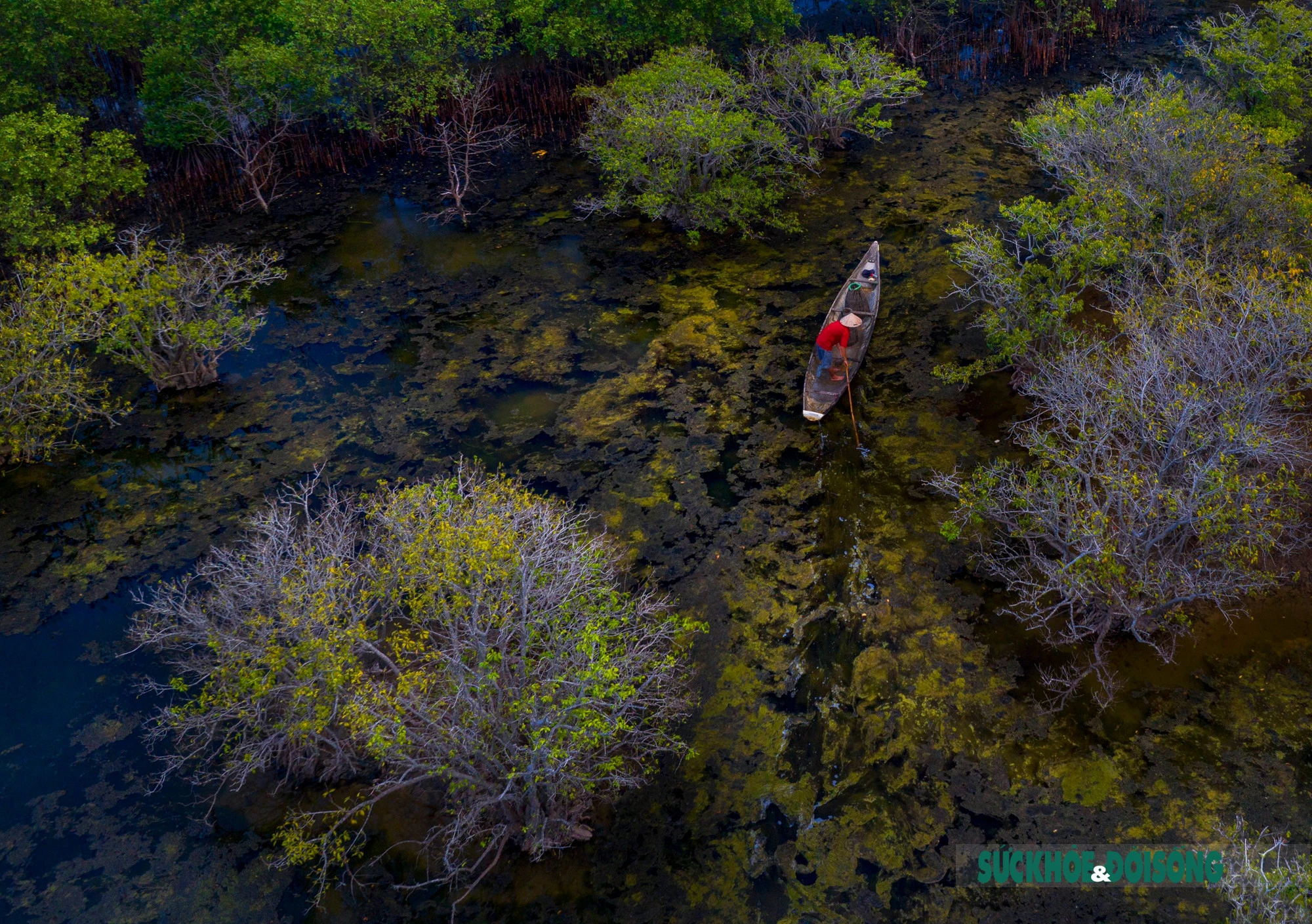 Mùa thu ở Rú Chá ảnh 4