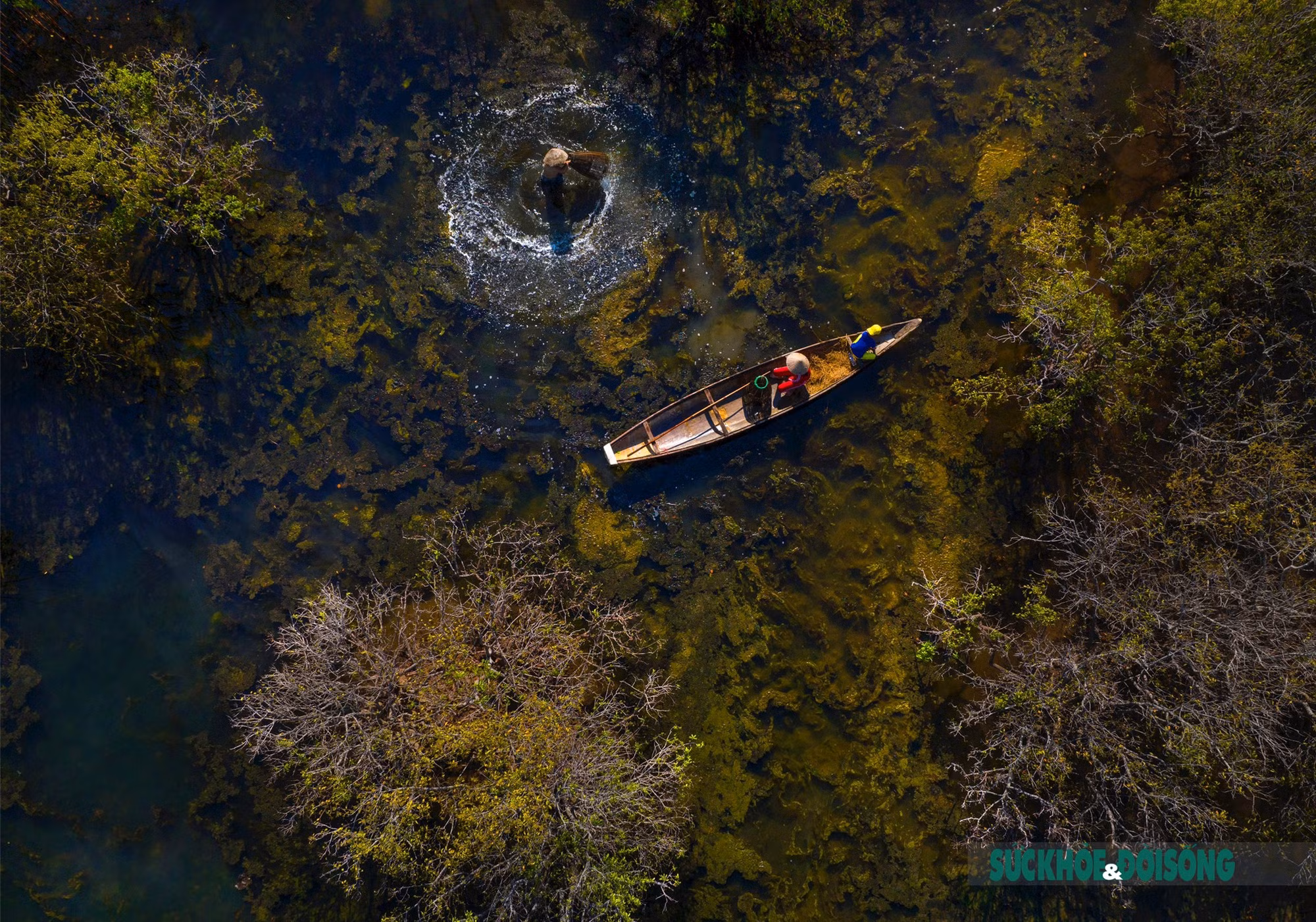 Mùa thu ở Rú Chá ảnh 1