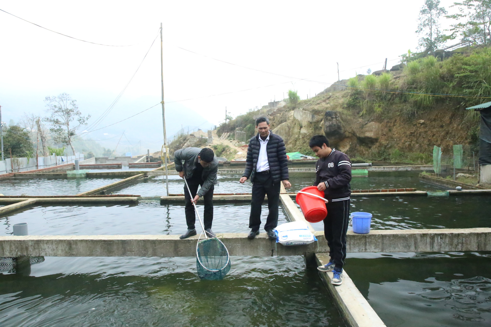 Góp phần thực hiện hiệu quả Nghị quyết 10 của Tỉnh ủy ảnh 2