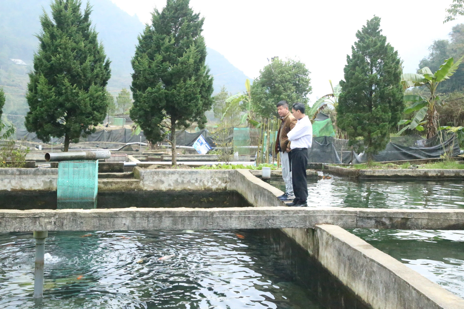 Góp phần thực hiện hiệu quả Nghị quyết 10 của Tỉnh ủy ảnh 1