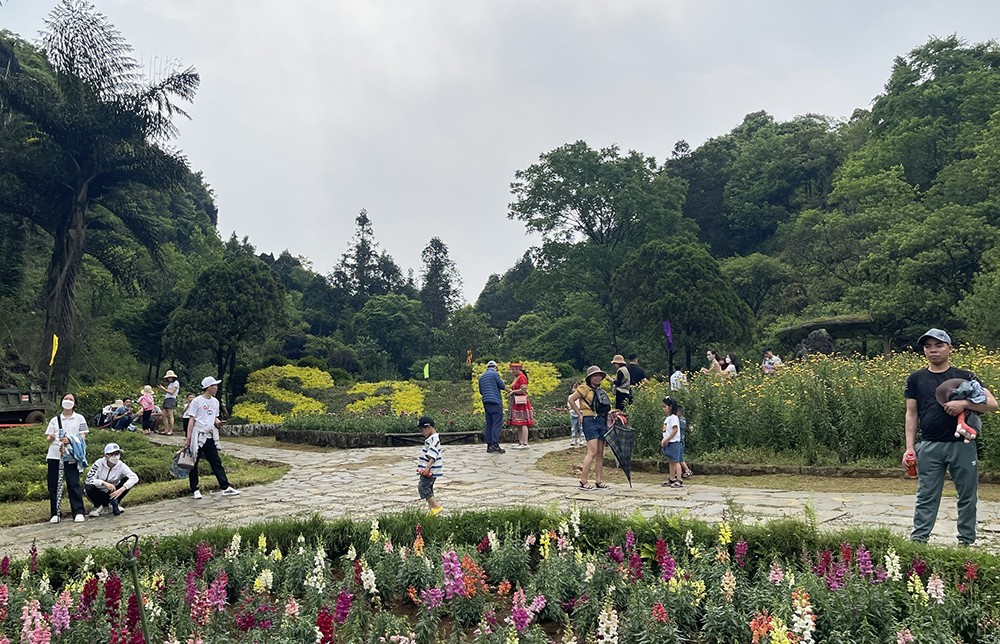 Du khách khám phá không gian hoa và đá tại núi Hàm Rồng. Du khách khám phá không gian hoa và đá tại núi Hàm Rồng.